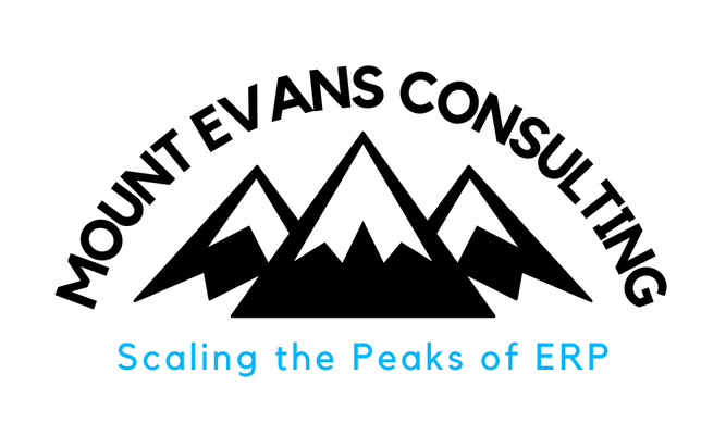 Mount Evans Consulting A Mobile WMS Partner